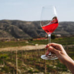 vrouw heeft wijnglas vast voor een wijngaard